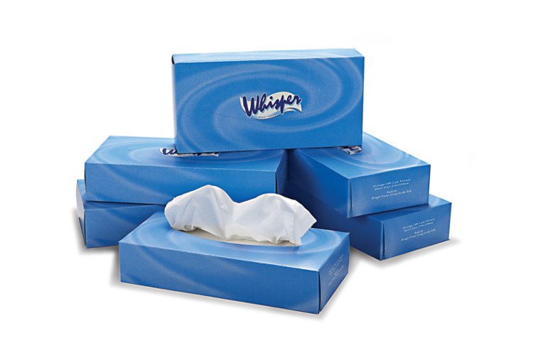 1. White 2 ply facial tissue 100 sheets